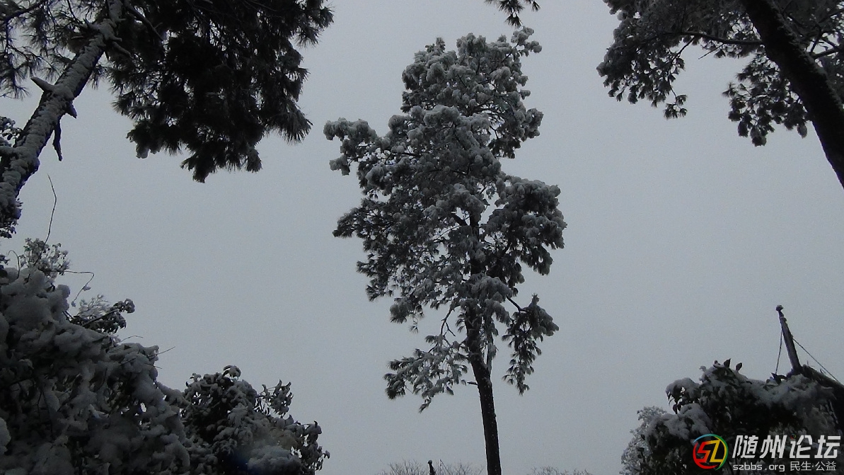 DSC03537.JPG