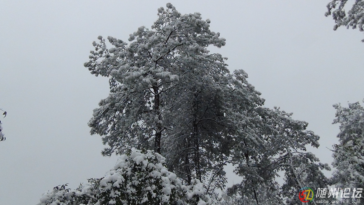 DSC03550.JPG