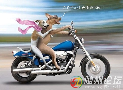 2014060614375608c4c.jpg