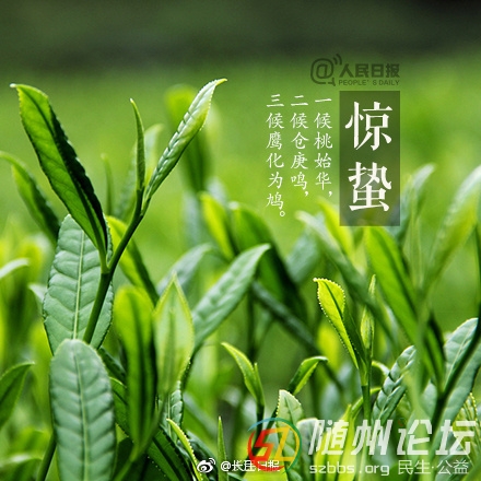 712547e4gy1fp0oqtelgjj20c80c8mzv.jpg