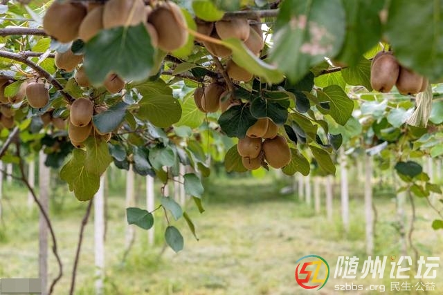 隨州太白頂景區(qū)開(kāi)展現(xiàn)場(chǎng)評(píng)比推動(dòng)項(xiàng)目建設(shè)
