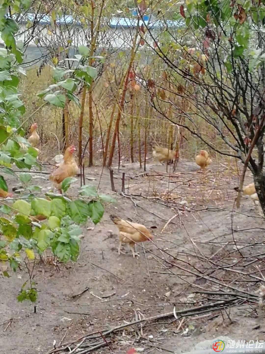 微信圖片_20191209100154.jpg