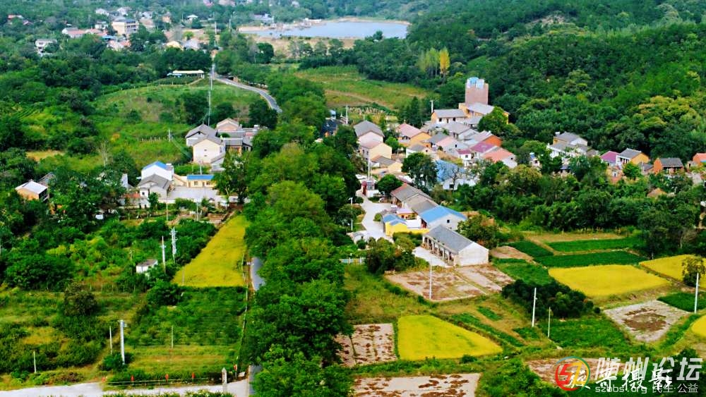 20220908145251front2_0_17390550_FvYc0DZukScZ0PjcsV77SEcao5rP.jpg